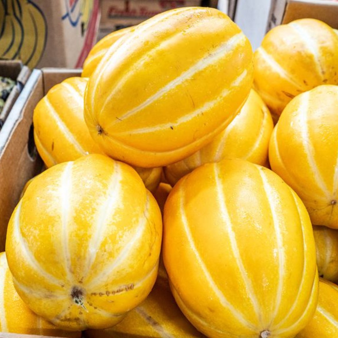 BeachBlvdFlea's tweet photo. Nothing is better than shopping local! 😊

#BeachBlvdFleaMarket #ShopLocal #JacksonvilleBeach #FarmersMarket #Market https://t.co/nO8hdFjZQ4