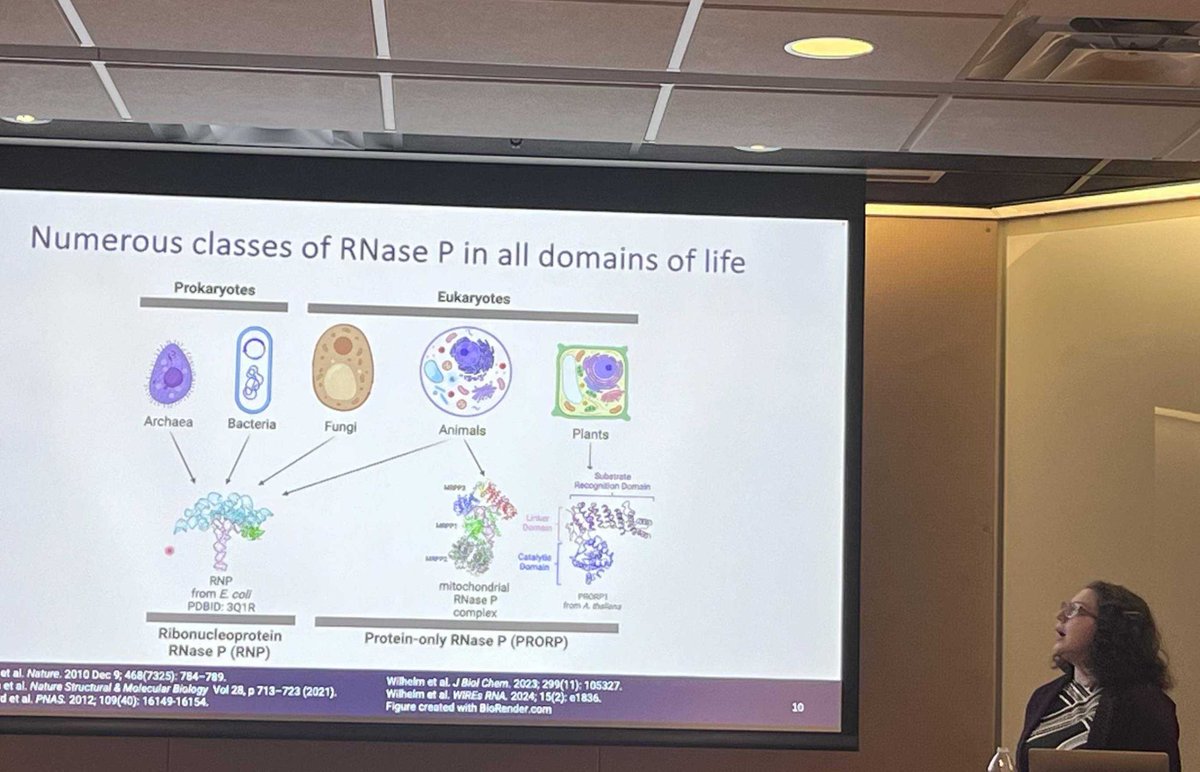 Congratulations to Dr. Catherine Wilhelm for defending her thesis in Chemistry in March! We have been so lucky to have her for the past several years! Go Cat!!! 🥳