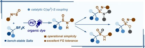 Unifying N-Sulfinylamines with Alkyltrifluoroborates by Organophotoredox Catalysis: Access to Functionalized Alkylsulfinamides and High-Valent S(VI) Analogues (@JOC_OL): pubs.acs.org/doi/10.1021/ac….