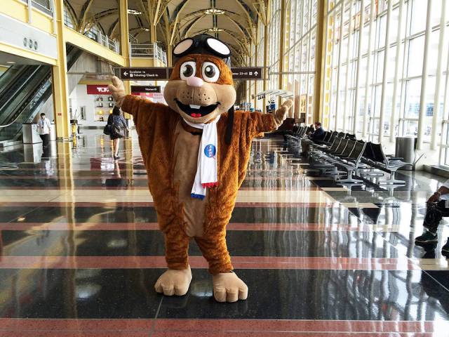 Calling all junior pilots! 🛩️ @NASAAero's Orville D. Squirrel wants to teach you all about sustainable aviation. Explore a printable activity book filled with fun puzzles for grades K-5. Solve them all to earn your certificate of completion. 🙌 nasa.gov/stem-content/n…