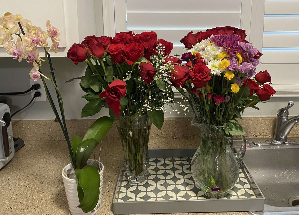 Pamela Royal Ellis tweet media