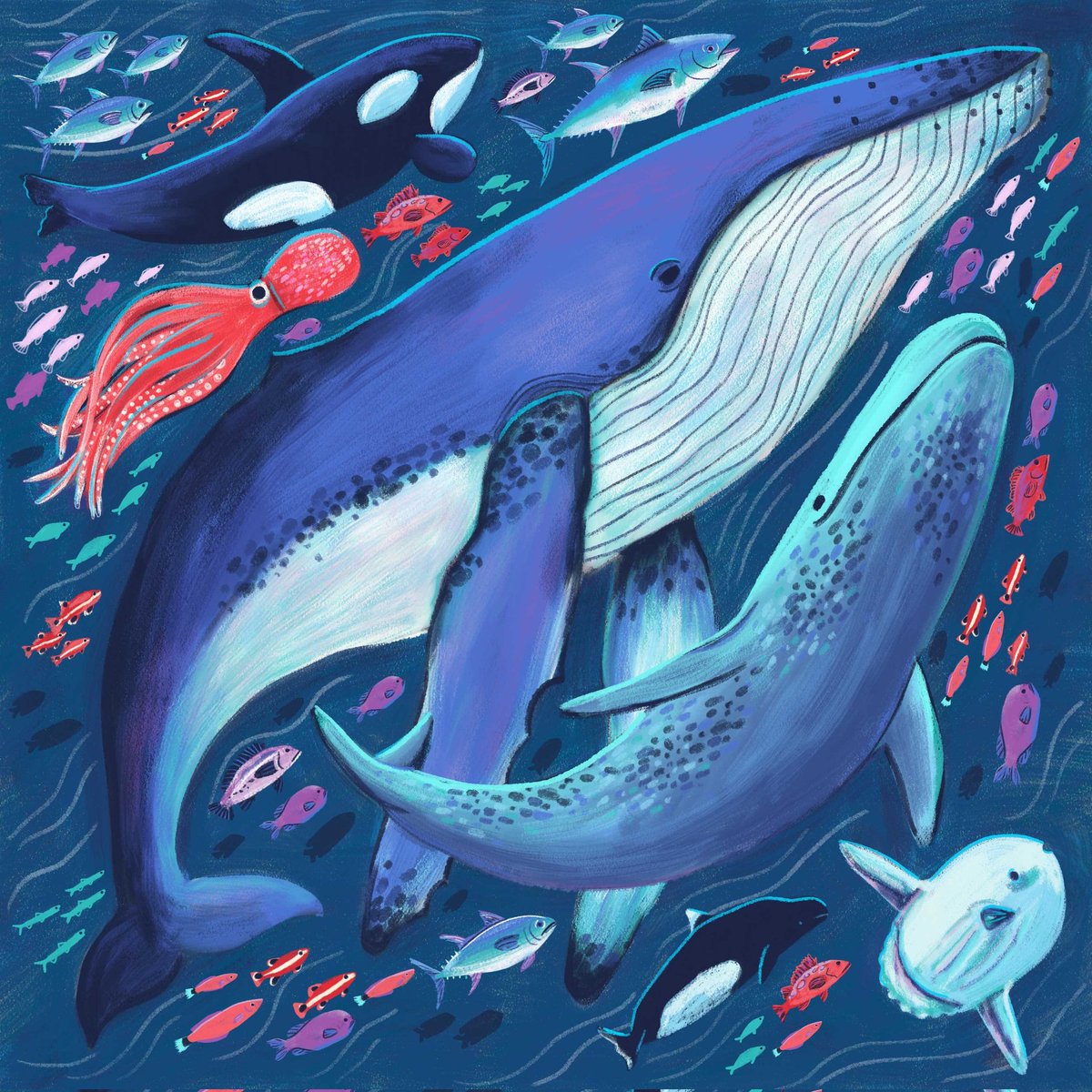 Happy Earth Day! Here is a collection of animals living in Monterey Bay, CA. One of my fav places to research & draw. It is so diverse in life that it is often referred to as the Blue Serengeti. 💙 
#earthdayillustration #EarthDay #EarthDay2024 #kidlitart #kidlit #protectourocean