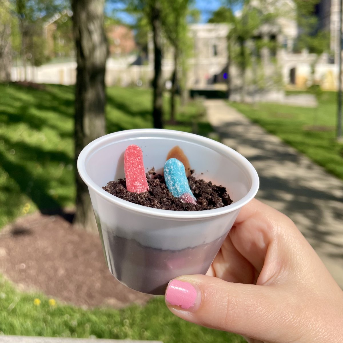 Happy Earth Day Cardinals! Today we celebrated by serving "Dirt in a Cup" desserts in Garvey Hall during lunchtime 🌎 🌱 😊 #catholicudining #earthdaytreat