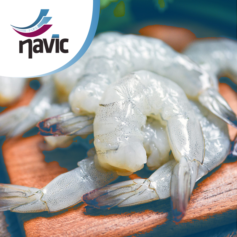 Navic_Mex's tweet photo. "La importación del #camaron representa una amenaza más para la pesca en #Sinaloa: La llegada de camarón importado a precios competitivos ha representado una amenaza directa para los productores locales." @eldebate👉🏻 https://t.co/kSmT0B2Vhz

Con Navic #Nuncamásaladeriva 🛥
#Pesca https://t.co/flKiBeeUsG