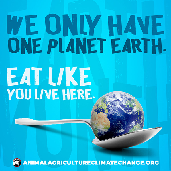 Earth Day. 🌍 A day to reflect on the state of our home and what we can do to make Earth a better place. The animal agriculture industry is responsible for so much damage to our Earth. Simply changing what you eat will have a big impact. #GoVegan🙏 #EarthDay #EarthDay2024