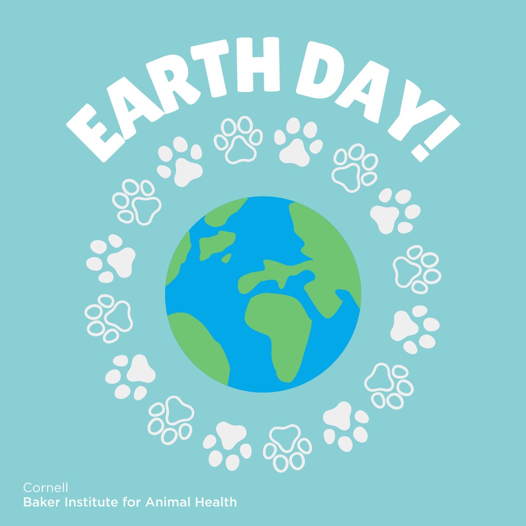 Happy Earth Day! Today serves as a reminder of the importance of environmental conservation and sustainability. A healthy planet is good for all animals and humans. #EarthDay