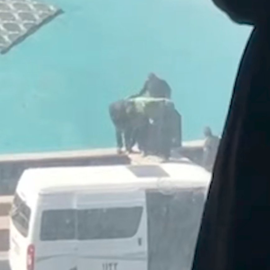 تهران سر حجاب دختره رو درحالیکه داد میزنه 'کمک'، پتو پیچ میکنن میبرن تو ون. رسما دیگه جنایت و تجاوز شده عادت و روزمرگی‌شون #فقر_فساد_گرونی