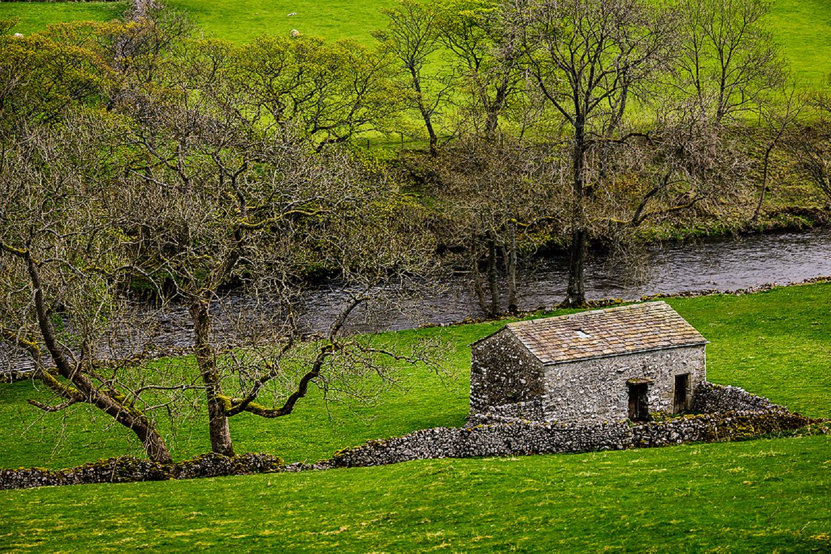 A moment caught in time. Yorkshire Dales National Park. England. NMP.