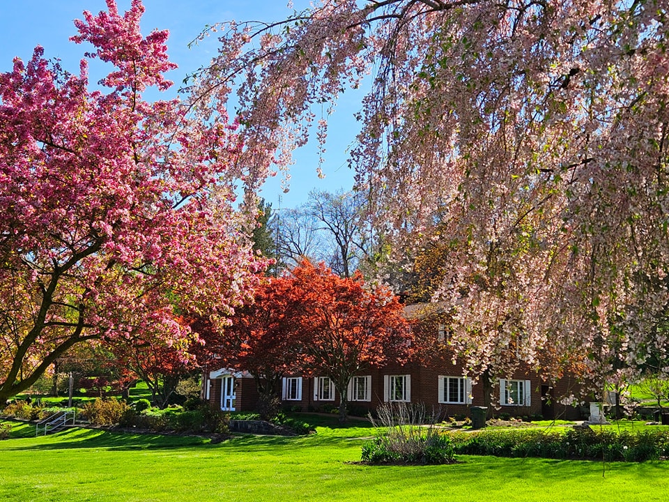 cantonhealth tweet media