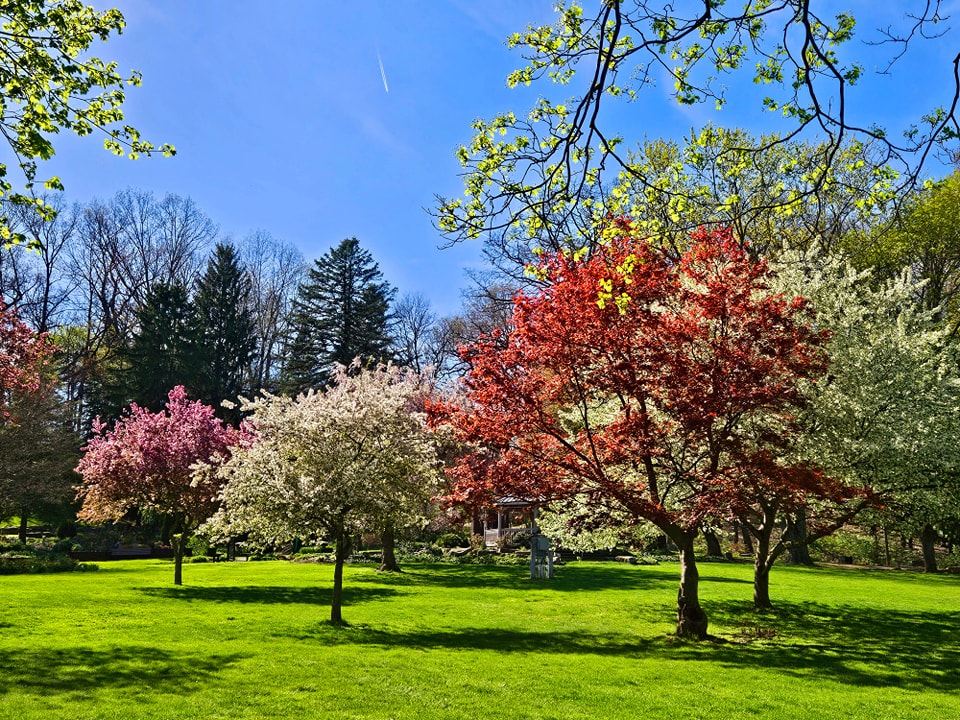 cantonhealth tweet media