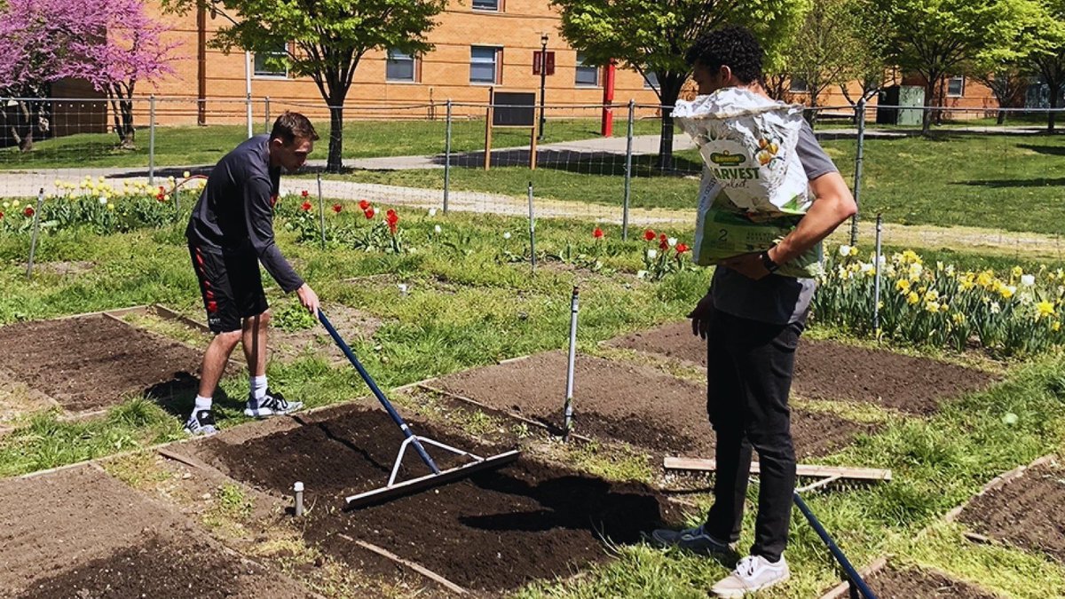 🪴 Happy #EarthDay! 🌎 For over a decade, the @StJohnsU student-led garden has provided organically grown vegetables for the community as well as @BreadandLife. 🙏 Moreover, its 65+ trees store carbon in their tissues, reducing the amount released into the atmosphere. 🙌