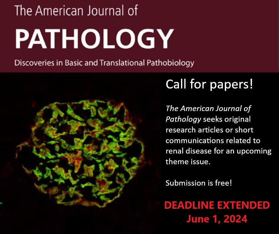 @AJPathology seeks your mechanistic advancements in #renaldisease in a special #callforpapers!  Send in your work in diseases of the kidney for consideration today!

Submission is free: editorialmanager.com/ajpa/default2.…

Deadline: June 1, 2024

#ImpactFactor: 6.0