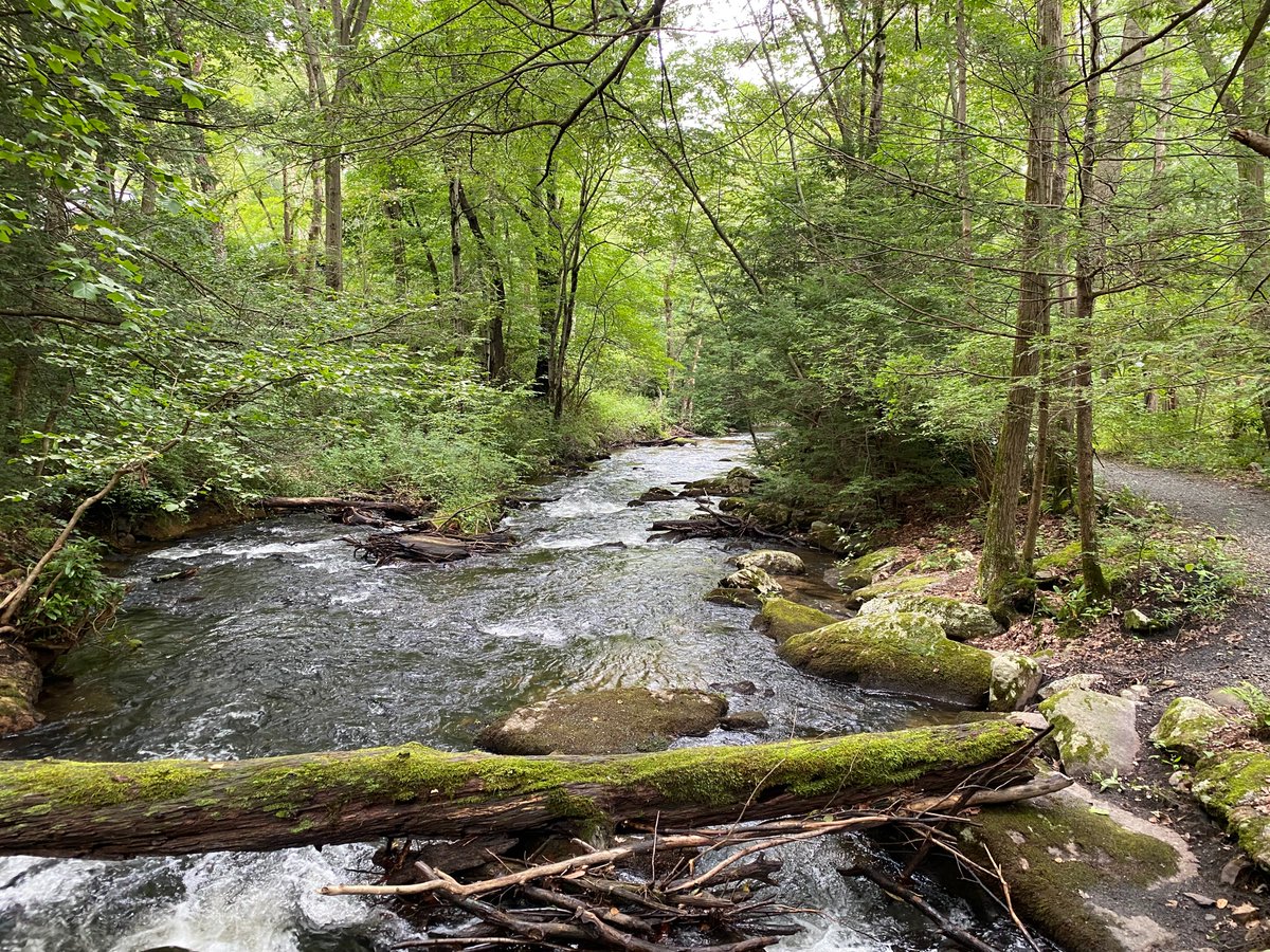 🌎 Happy Earth Day! Even though our area is some of the most densely populated in the country, we cover incredibly diverse environments ranging from our coasts and urban areas to the mountains. Let's stick together to keep it clean for generations to come! #PAwx #NJwx #DEwx #MDwx