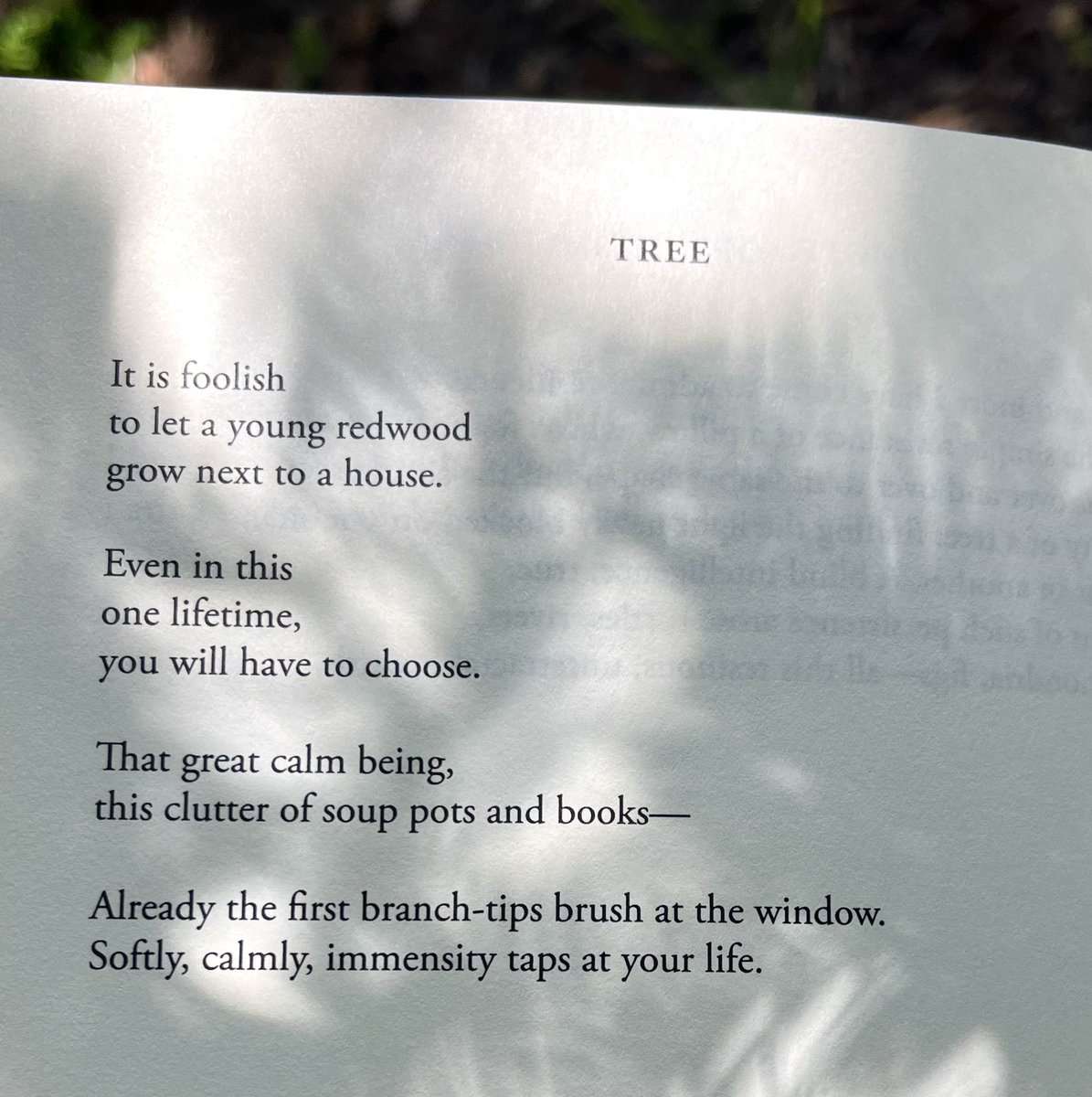 Softly, calmly, immensity taps at your life
-Jane Hirshfield