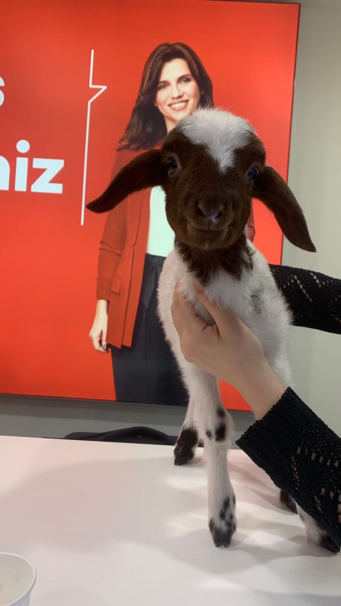 Arkadaştan araklanmis bir adet 'meeee' fotosu