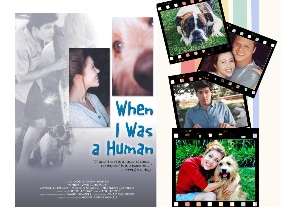 Our Wefunder campaign closes on April 29!

#wheniwasahuman #TakumiSaitoh #ClosingSoon #wefunder #adoptdontshop #foreverhome
#dogsarefamily #rescuedogs #shelterdog #dogsrule #SupportIndieFilm #filmfinance 

wefunder.com/updates/172794