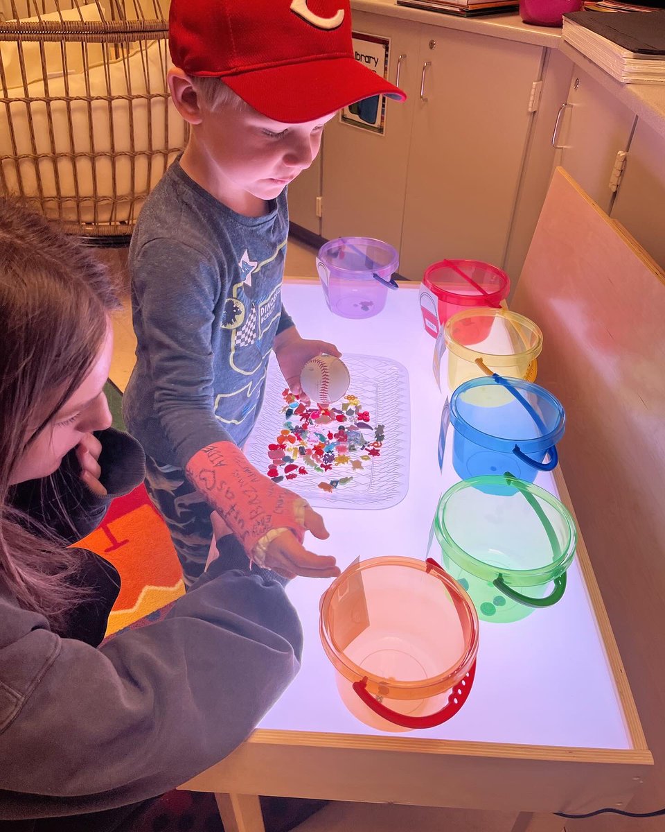 Sara Consdorf tweet media