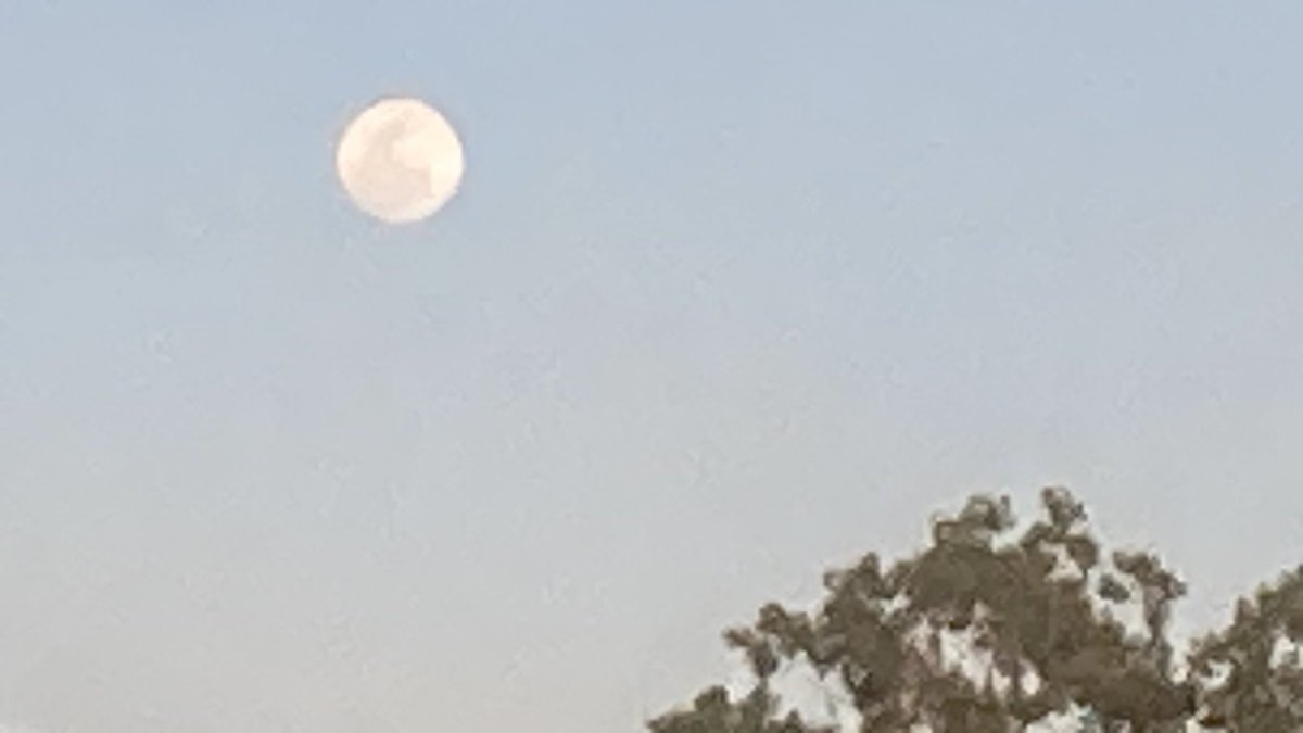 The Moon over mulberry Central Florida this evening🤙🏽😎🌴🪖🇺🇸🦅