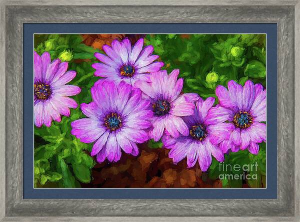 Cape Daisies - Impressionistic Style Framed Print #travelingtx #buyart #capedaisies #photography #arboretum  #impressionistic #style #dmsfineart #dianamarysharpton #fineartamerica #fineart4sale #walldecor #prints4sale #Apparelwart   

Artist Deck: dianamary-sharpton.pixels.com/featured/cape-…