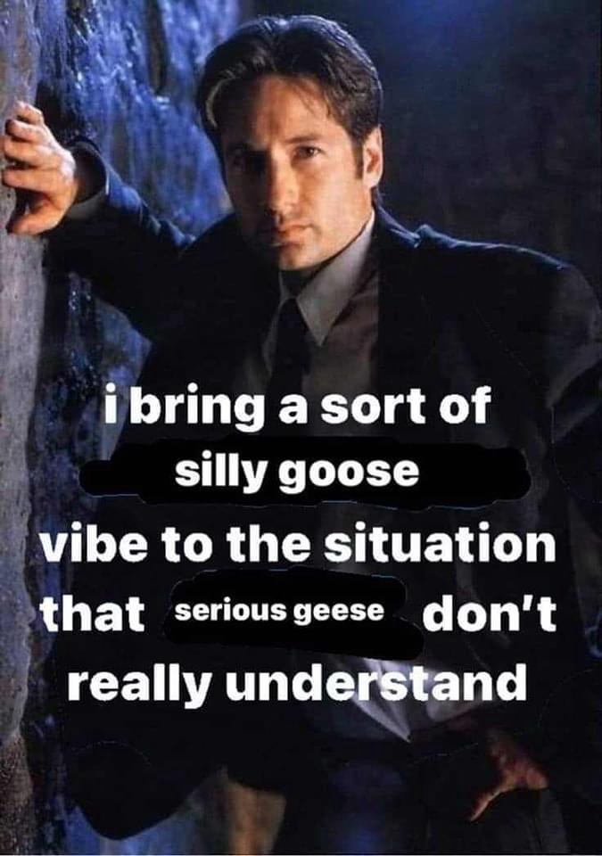 Yes, our passion for justice and progress is important...but so is having fun.  Go ahead - be the silly goose.  #publicdefender