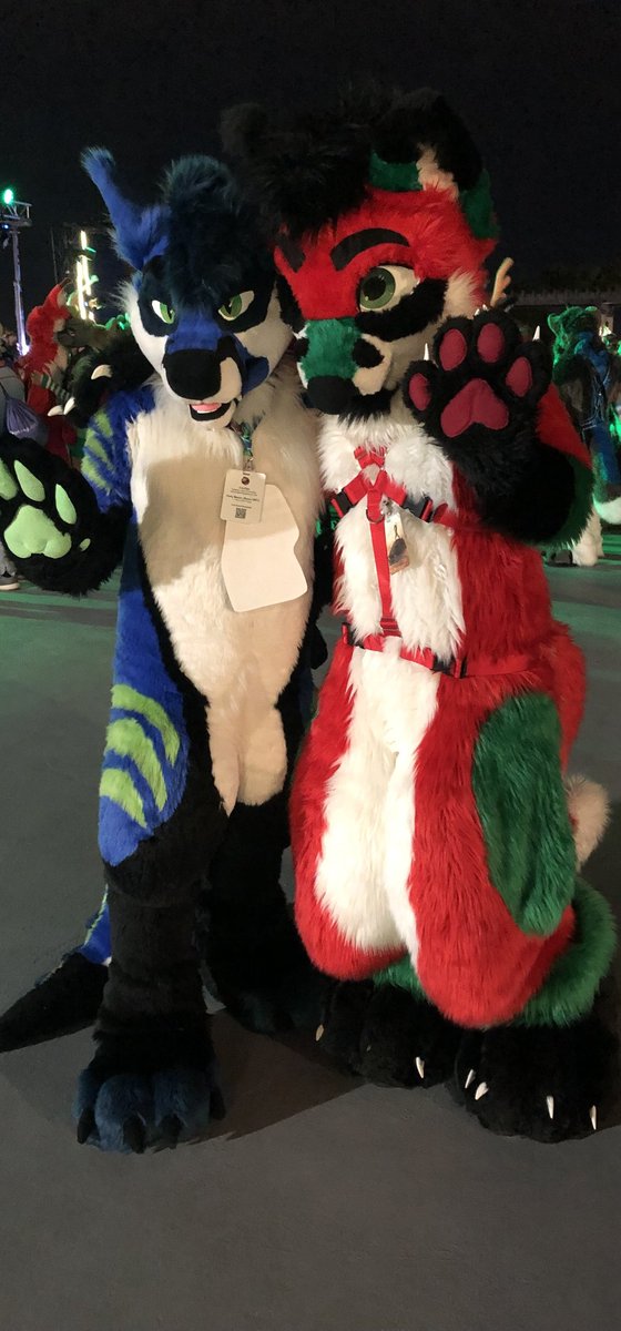 Thank you @turbulence898 for coming to LVFC and this is the first time I ever see a freakhound fursuit and really makes me want one freakhound suit of my own 🪡 @TwinkyArts and my friend who made my suit 📷 Emerald #LVFC2024 #fursuit #freakhound #furry