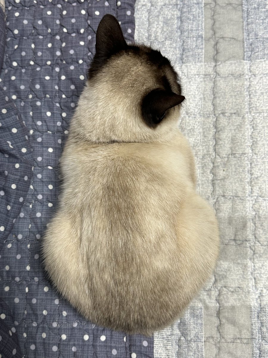 작지만 탐스러워