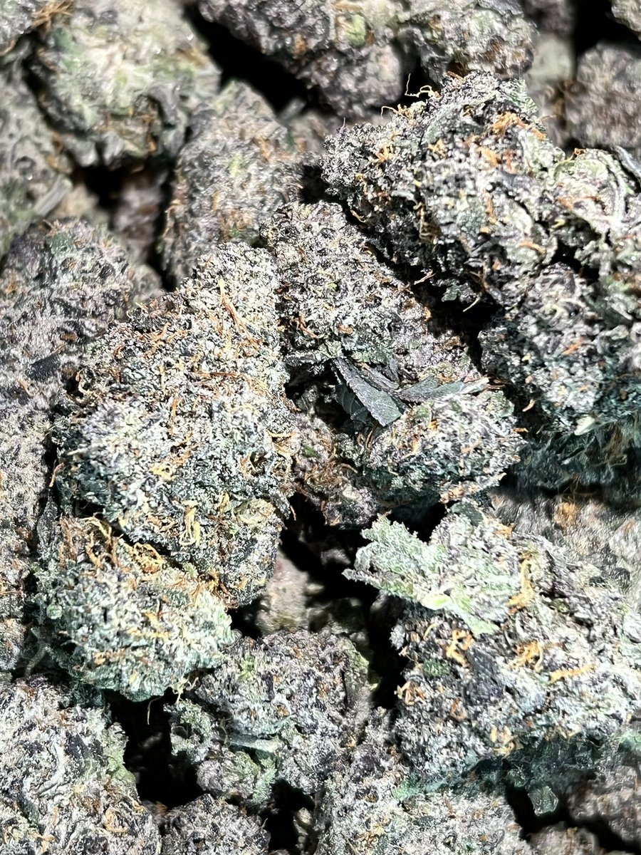 NFKEXOTICSSS's tweet photo. Boss Cake

#houstonweed #houstonplug #houstonza #houstonexotic #ManvelPlug #Katyplug #CypressPlug #PearlandPlug #MocityPlug
#NFK🎋 https://t.co/L7zZsuBdpF