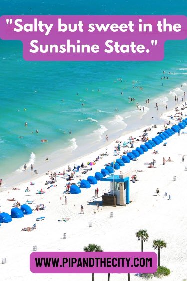 Life’s a wave, catch it on a Florida beach. 🌊
Mermaid kisses and starfish wishes from the Sunshine State. 🧜‍♀️🌟
🥰❤️✅
#Florida