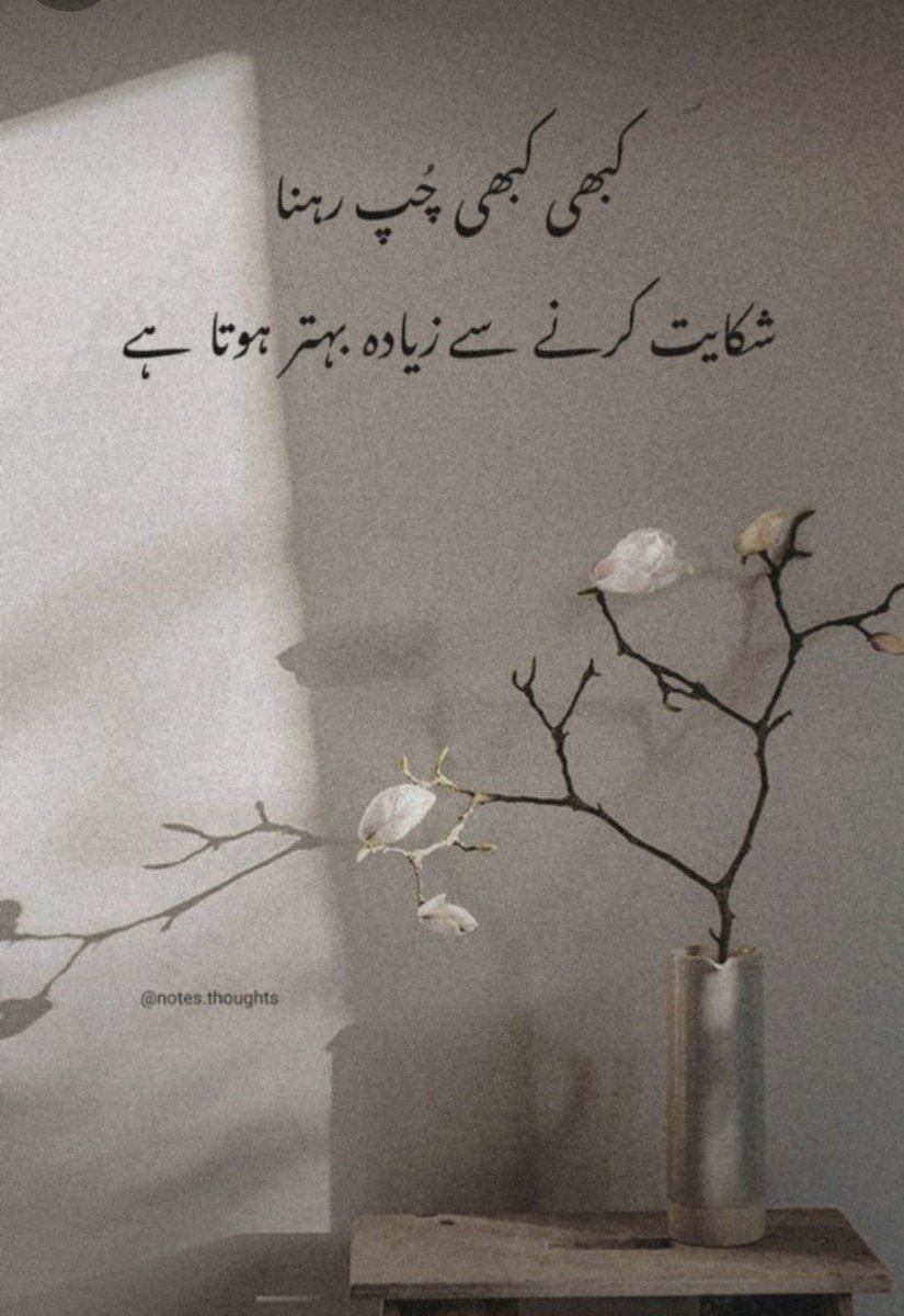 Ruhe Malik🕊️ tweet media