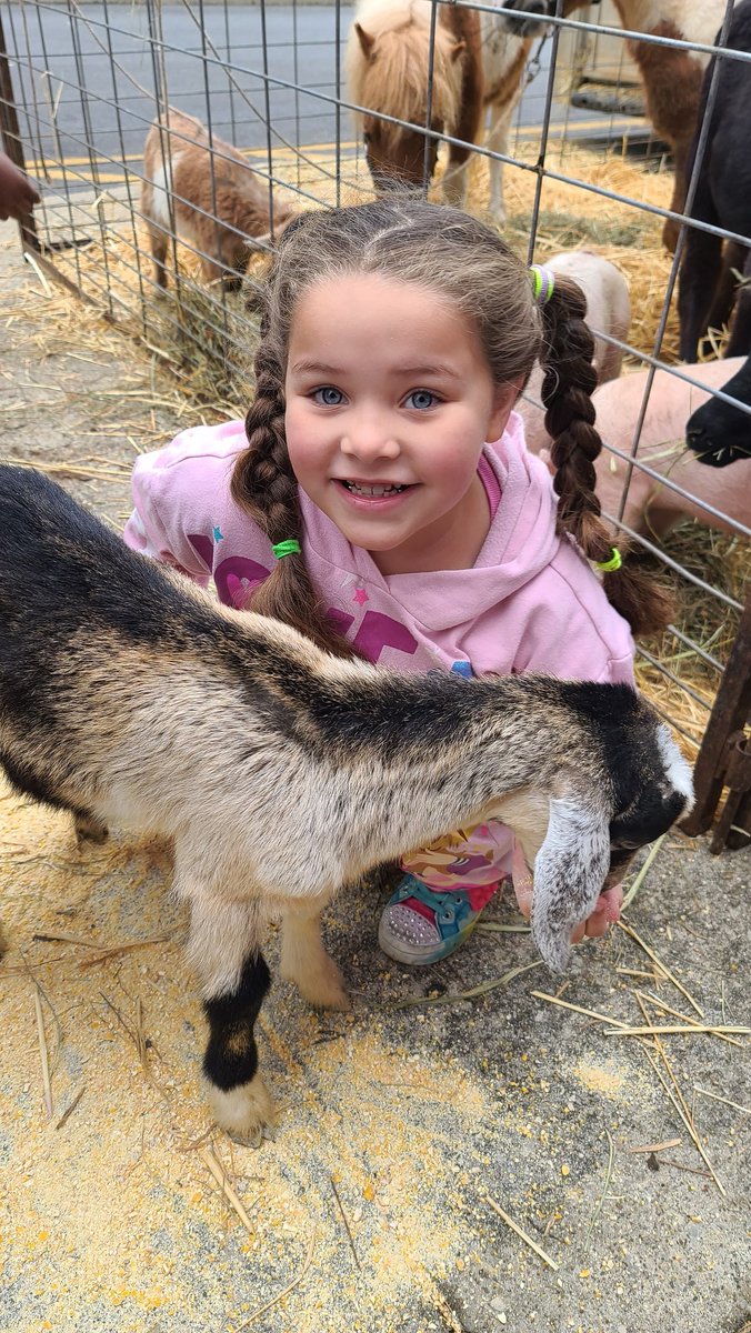 DawsonOrmanECH's tweet photo. Just another day, down at the Dawson farm! Thank you Farmer Steve! @JCPSEARLY @BrumbackHeather https://t.co/4P2Nn07QSf
