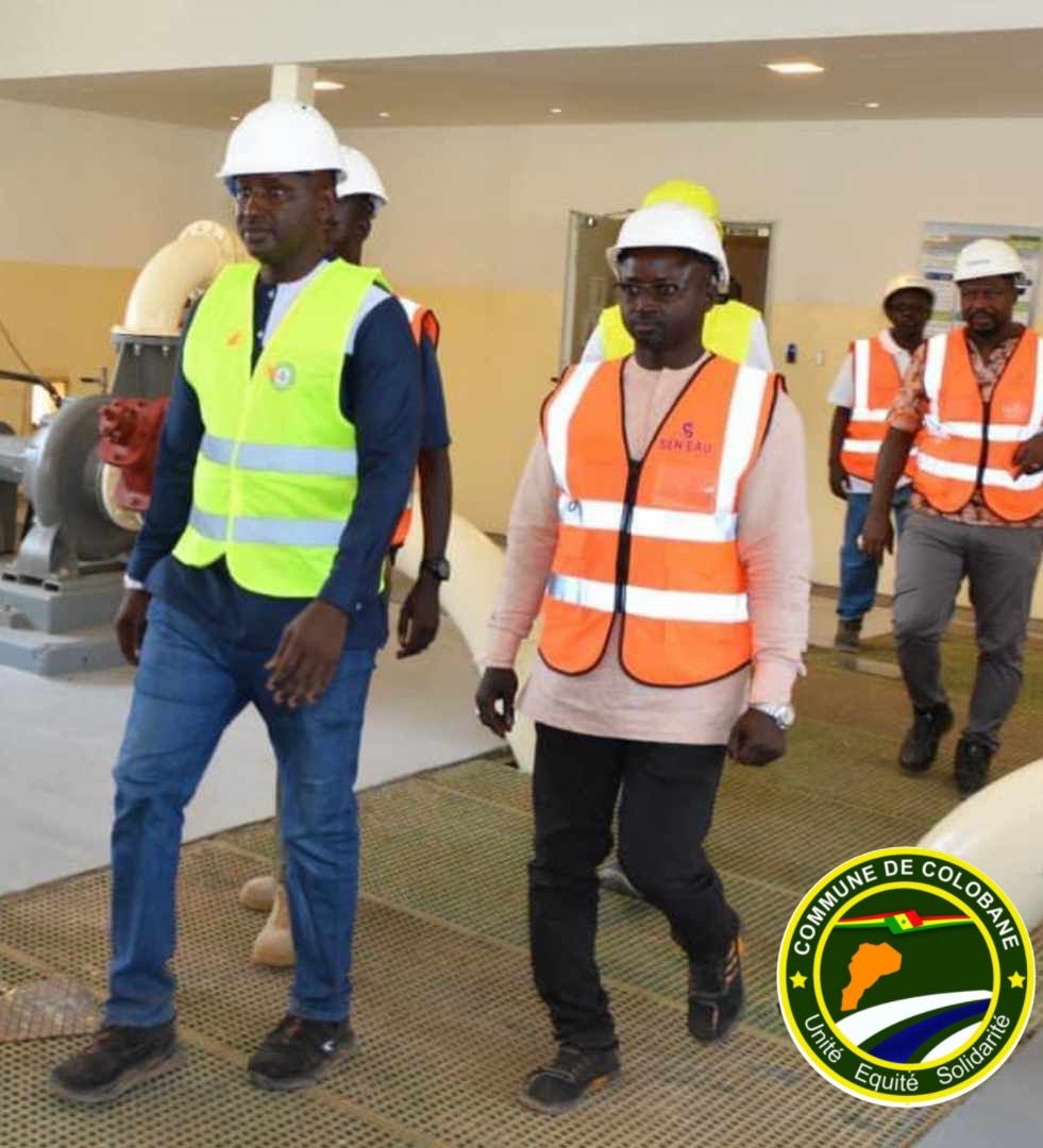 𝔇𝔞𝔪𝔢 𝔑𝔡𝔦𝔞𝔶𝔢 🇸🇳💦 tweet media