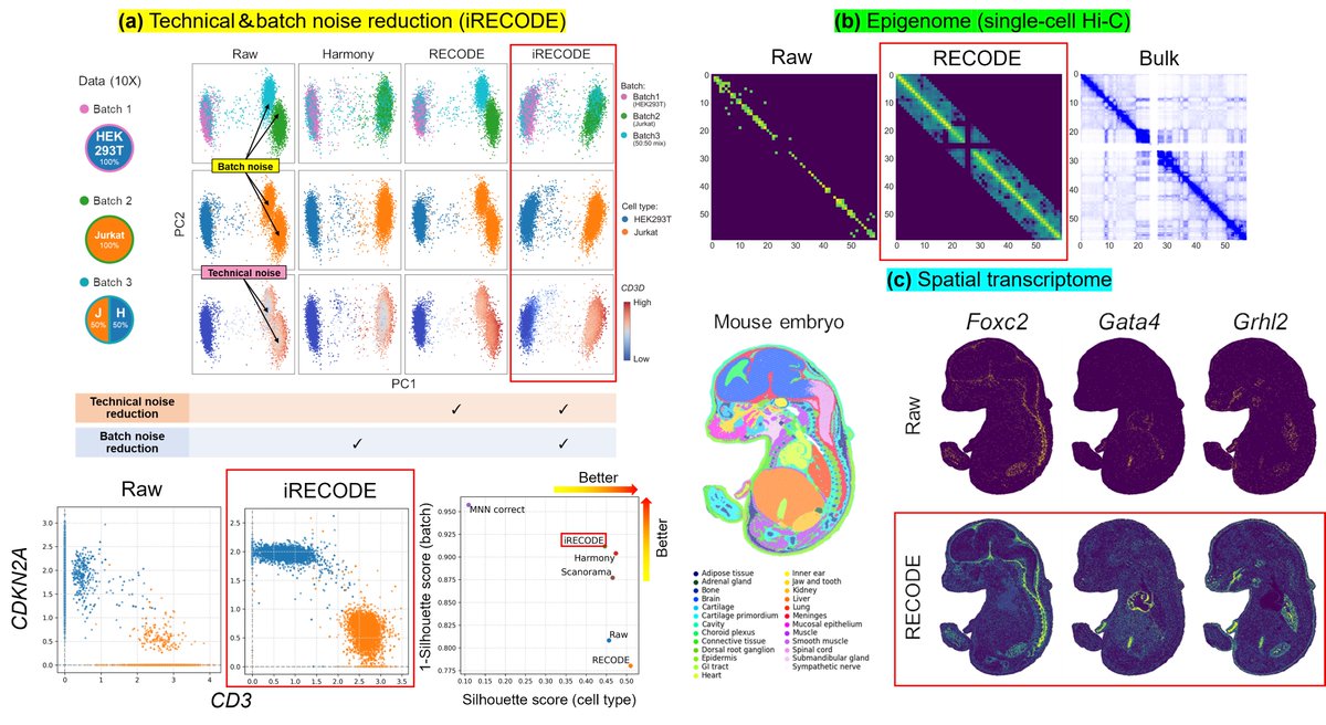 Exciting RECODE Update! The new version significantly reduces both batch and technical noise in single-cell sequencing data (Imputation & Integration). Now applicable to epigenomics and spatial transcriptomics! 🧬 #singlecell #imputation #integration