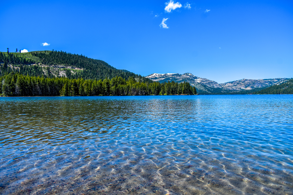 🌎💚Happy Earth Day to all of our friends in Truckee, Lake Tahoe, and beyond! From the crystal clear waters of Big Blue and beautiful Donner Lake to the towering trees of the Sierra Nevada mountains, we are truly blessed to call this place home. 🌎💚 #EarthDay2024 #TruckeeTah ...