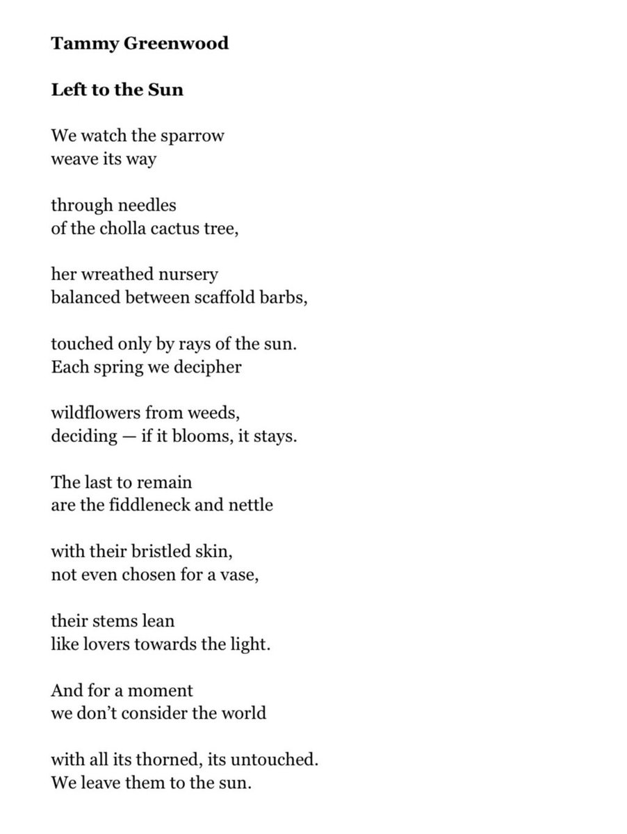 It’s that time of year where we try to “decipher wildflowers from weeds, deciding - if it blooms it stays.” Happy Earth Day! Thanks again to @wildroofjournal for publishing this poem.