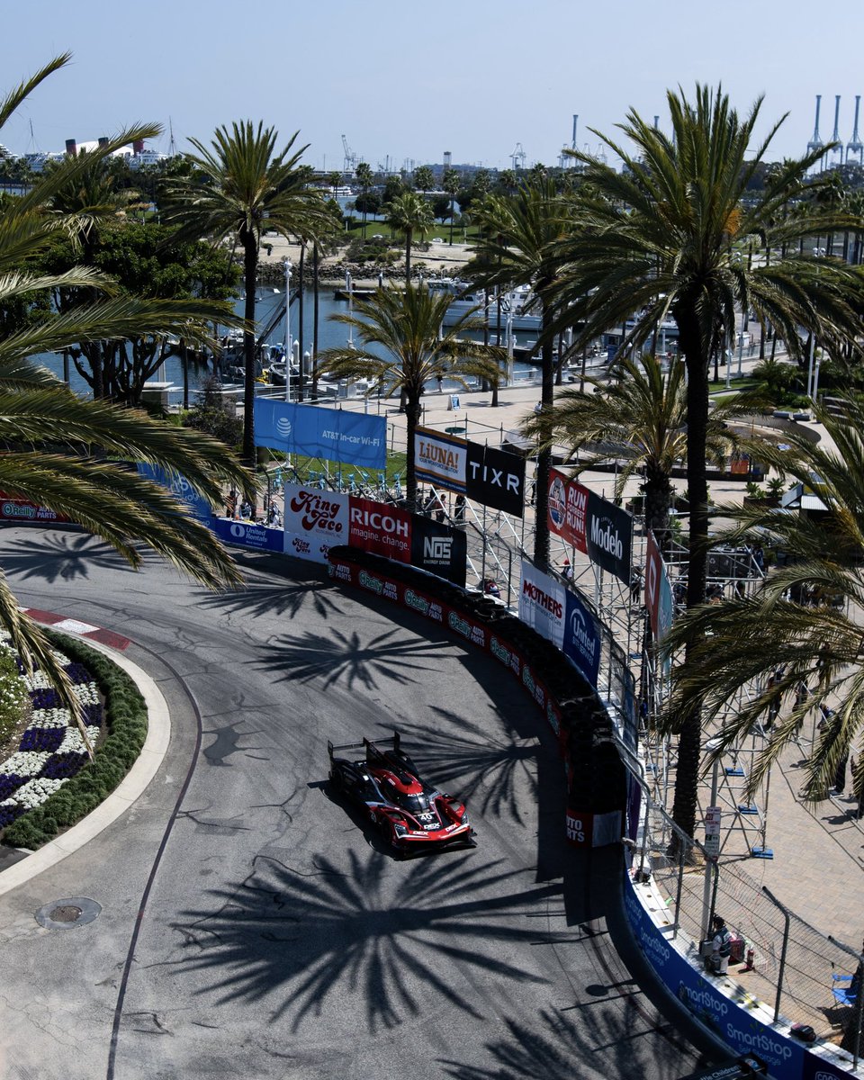 Scenes from the weekend 🏁🌴☀️ #WTRAndretti // #Acura // #LamborghiniSc // #KMSports // #DEXRacing