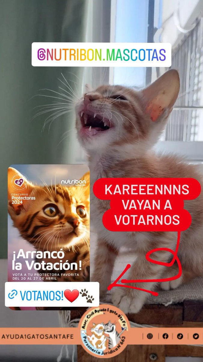 👋 Hola, somos ayuda1gato, te pedimos 5 minutos de tu tiempo, estamos participando de un concurso de protectoras, donde los 10 más votados pueden ganarse más de 100kg de alimento. Tu voto alimenta 🐈‼️

*No olvides validar tu mail para registrar el voto.*

a.cstmapp.com/voteme/975389/…