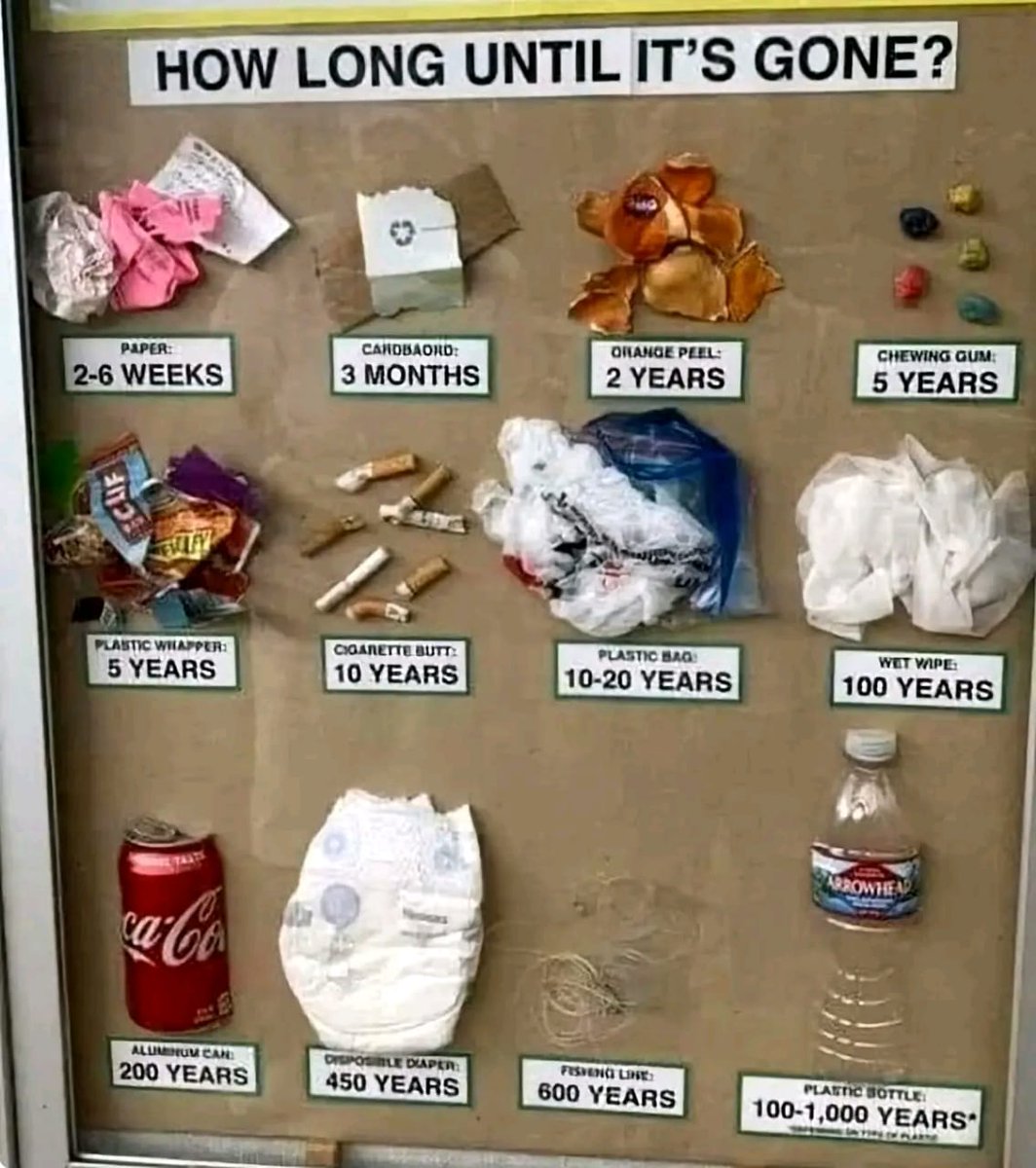 #EarthDay2024: Fighting Plastic Waste

This year's Earth Day theme is 'Planet vs. Plastics' - a call to action against the plastic trash that is harming our planet. We only have one Earth, and we must all work together to take care of it.
1/5...