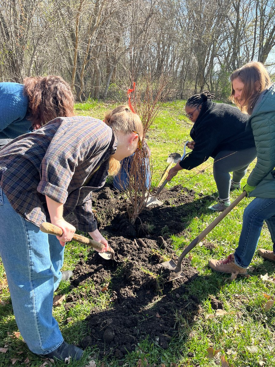 Today @WIS_DFI Secretary Cheryll Olson-Collins joined @GovEvers, @LGSaraRodriguez, and cabinet members to plant trees as part of Governor Evers’ “trillion trees pledge” at Governor Nelson State Park in honor of Earth Day! 🌎