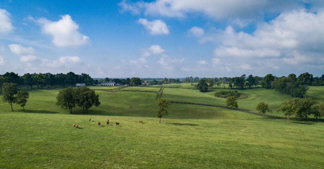 Happy Earth Day from our farm to yours! 🐴 🌳🌎Today and every day is worth celebrating the beauty of our planet! #TaylorMadeFarm #EarthDay