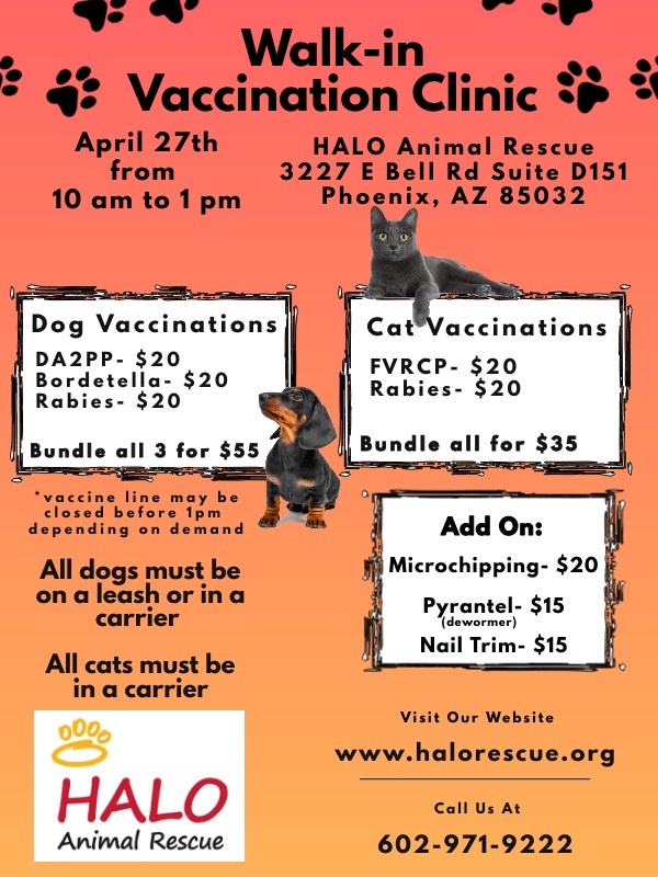 Vaccination Mobile Clinic Free Dog Neutering Near Me HALO Animal - Main Image