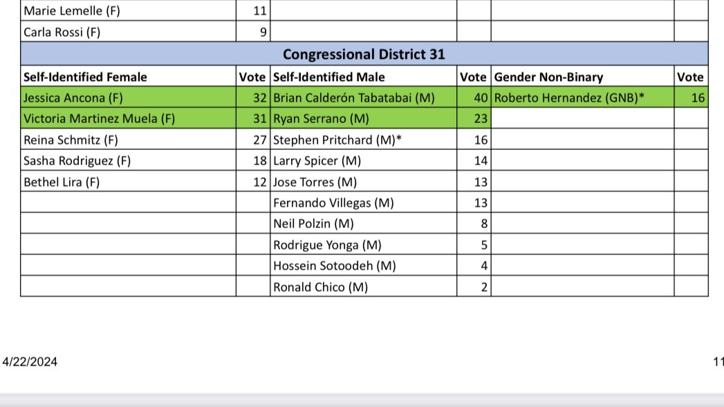 Bad News: I didn’t get elected to be a DNC delegate. Great News: Every person above my name is very connected to the party on a local level. Larry Spicer is the mayor of a whole ass town and I got one less vote than he did. That’s really motivating for me.