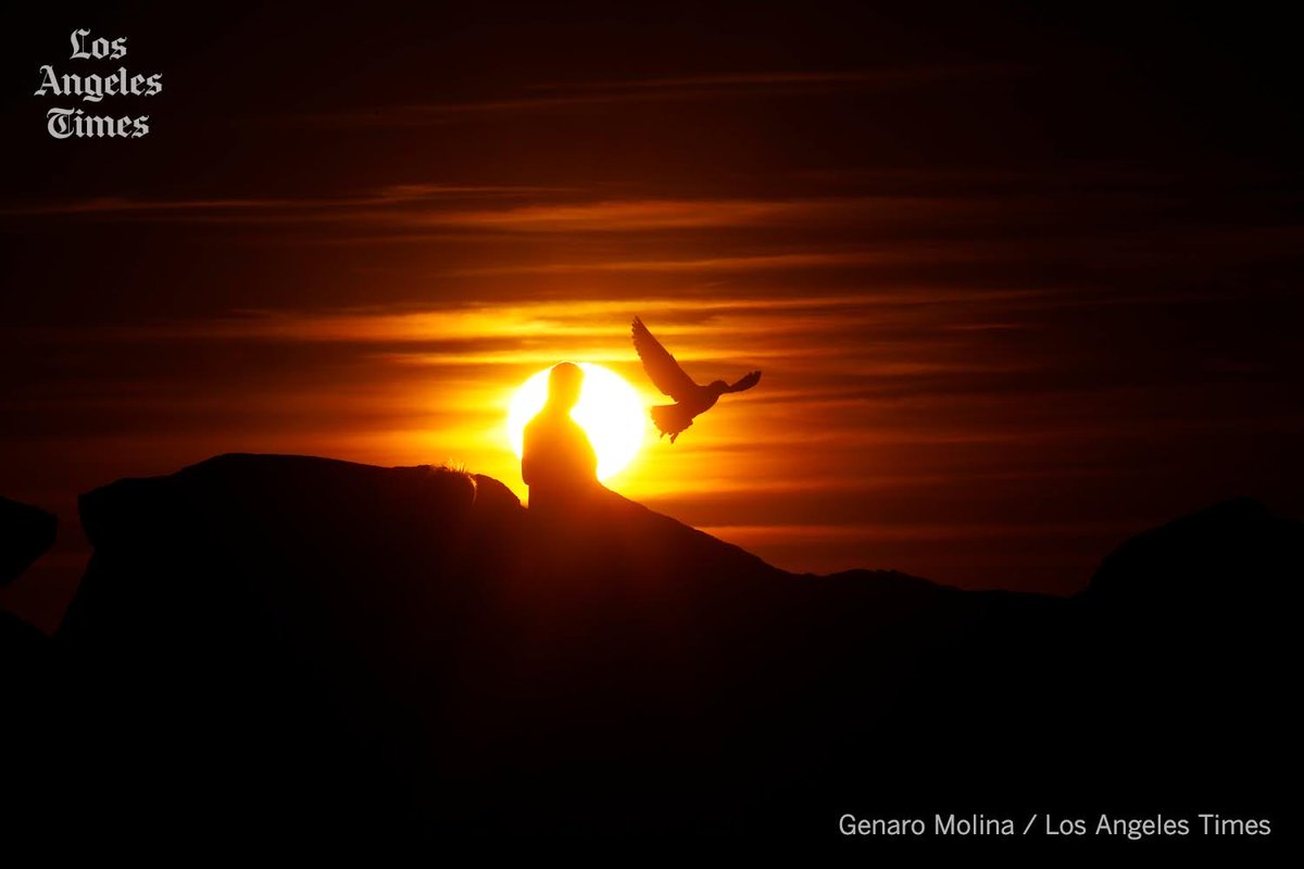 Earth Day 2024 - Life in the Balance. Let's get it together people and preserve the only home we’ve got. #earthday #globalwarming #climatechange #environment #earth #oneplanet #sunset #pictorial #photography #photojournalism #venice