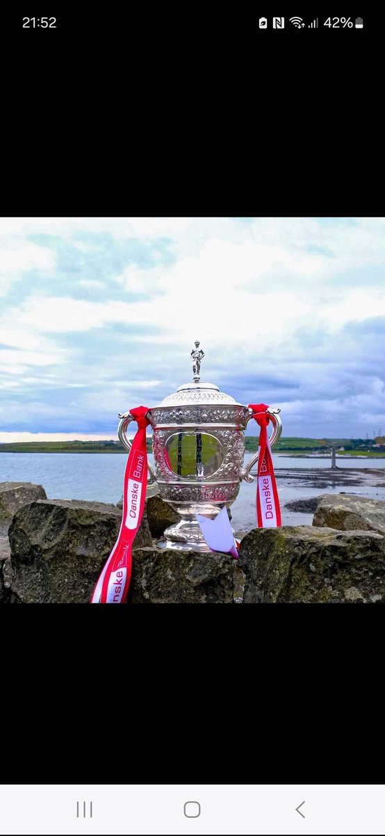 Willyscb1982's tweet photo. CHAMPIONS @larnefc https://t.co/JDjCpikbPV