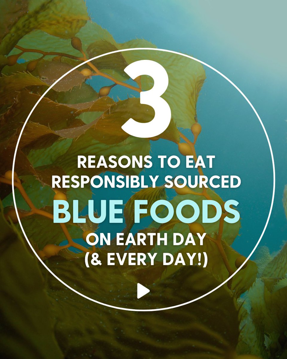 🌊 Make room on your plate 🍽️ for responsibly sourced #BlueFoods this #EarthDay! 🌎

An important climate-smart solution, blue foods are essential for billions of people all over the planet.