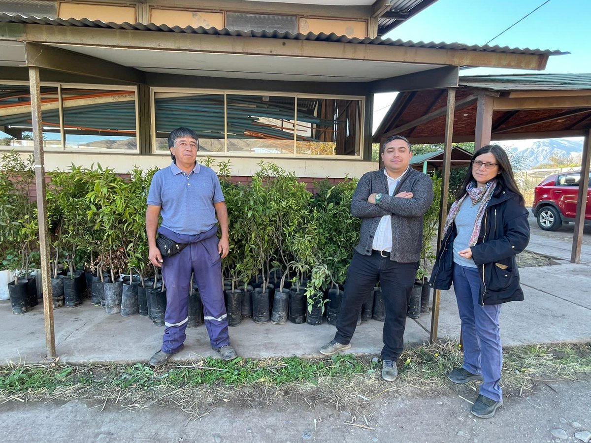 Agradecemos a la Ilustre Municipalidad de Petorca por la entrega de más de 40 árboles Mandarinos para el predio de nuestro liceo.