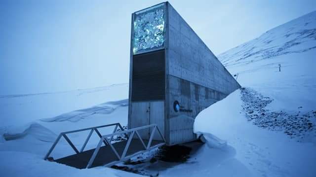 İNSANLIĞA MI HİZMET EDİYOR ?!
Svalbard Kıyamet Tohum Deposu 

“Ebu Gureyb” denince aklınıza ne geliyor. Dünya kamuoyu, ABD'nin Irak'taki “işkence cezaevi” diye biliyor İşgalden önce Irak, tohumlarını “Ebu Gureyb Tohum Deposu”nda saklıyordu

Dicle ve Fırat nehirler