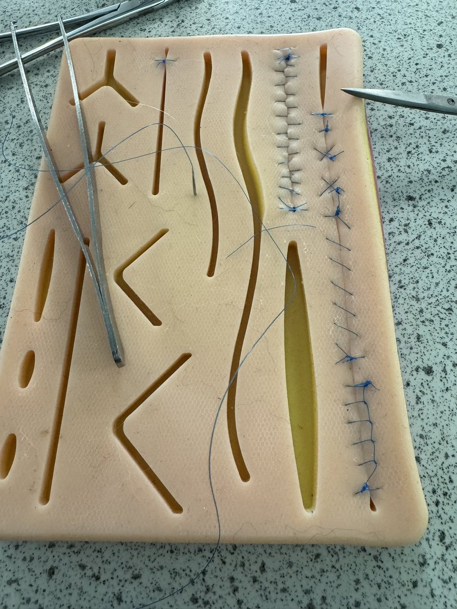 Great to have old Latin Chloe Smith back today with a suturing workshop @TheRoyalLatin . Staff and students completely engrossed!