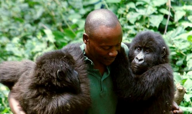 Thin Green Line Foundation UK tweet media