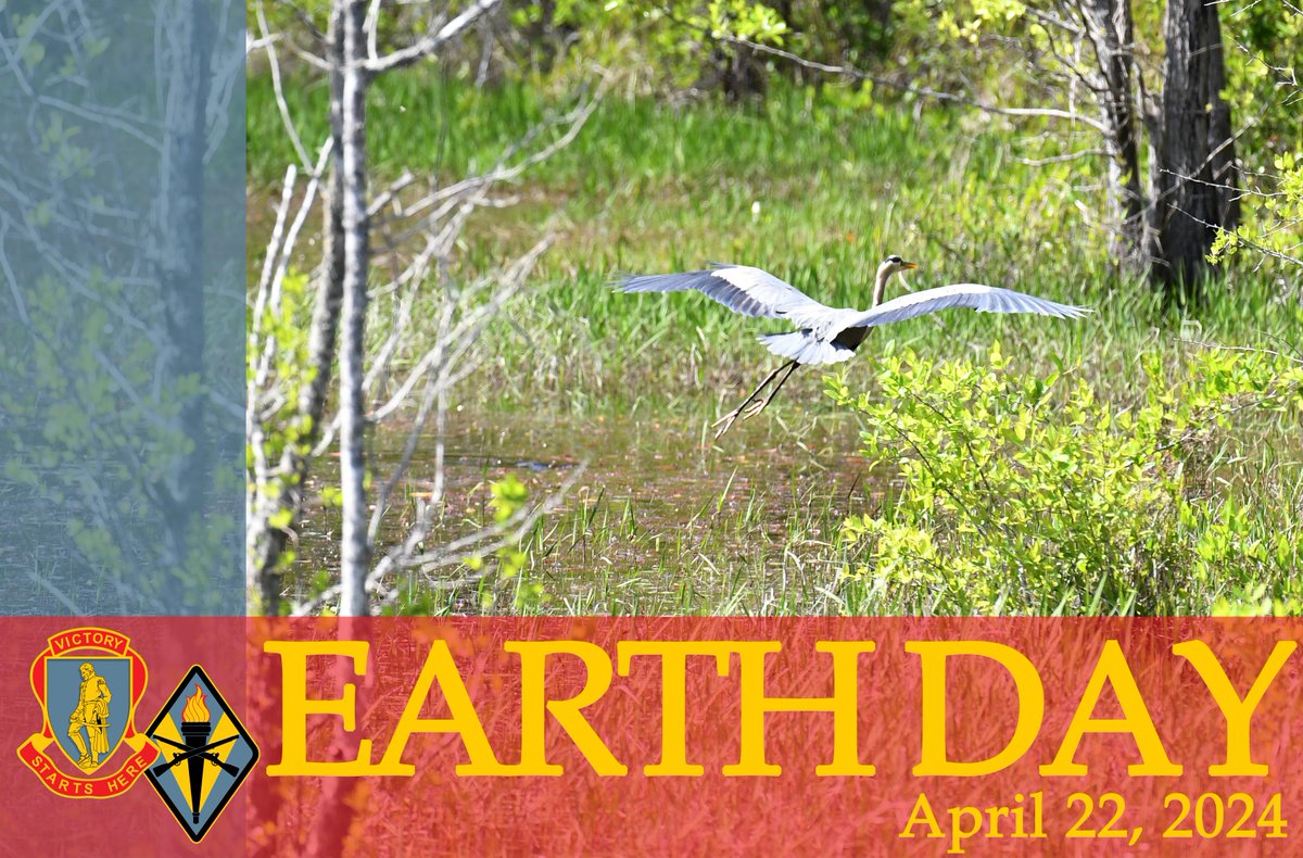 Happy Earth Day! Fort Jackson forests and lakes are home to countless creatures. Today and everyday, take time to appreciate the beauty around you and commit to preserving it for future generations.