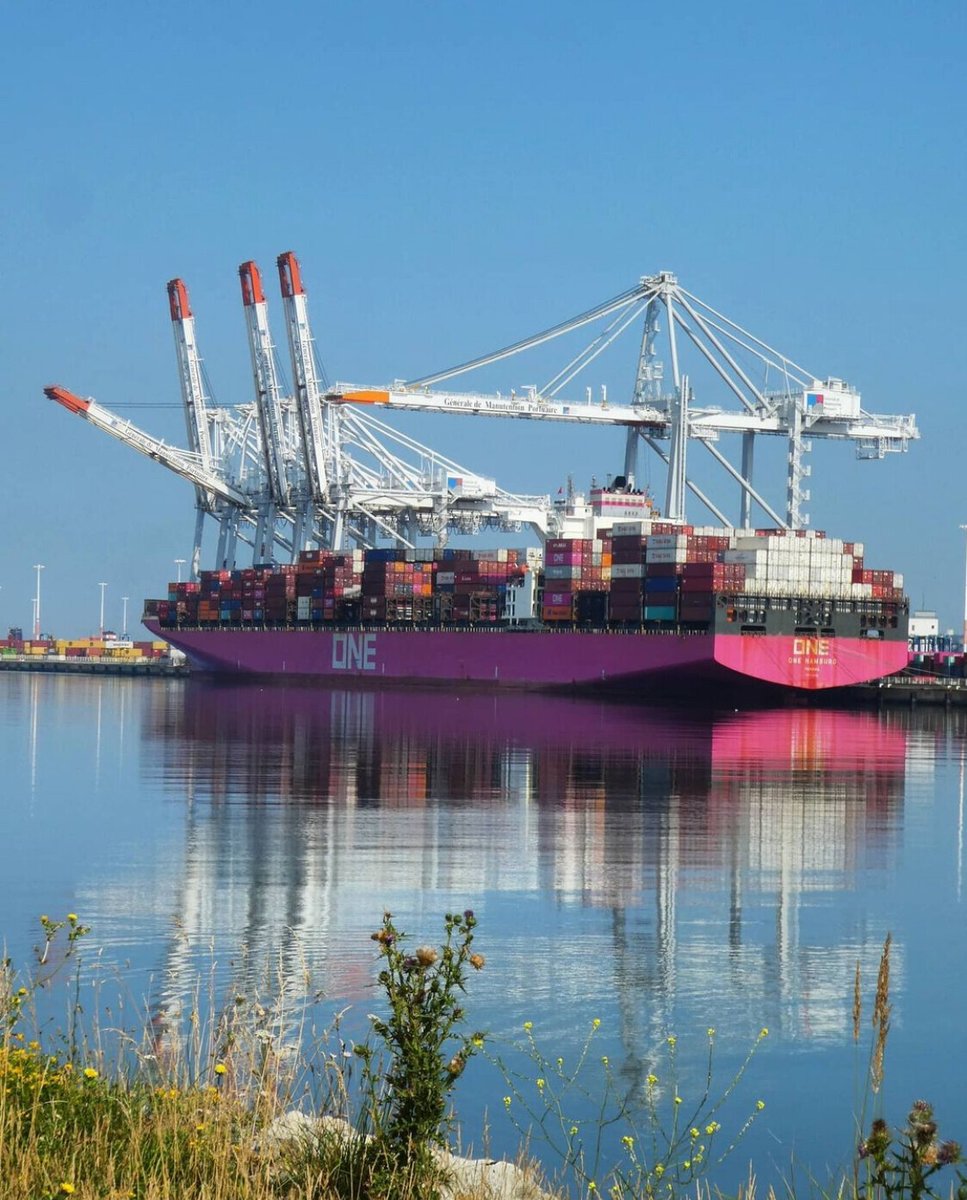 Docked & delivering 🚢⚓ ONE Hamburg at Le Harve. Delivering your Everyday! #ONE #ShippingWonders 👷‍♂️🌐

Thank you to @ggwena76 for this ONEderful photo #FoundONE 📸🥇

#OceanNetworkExpress #ContainerShipping #AsONEWeCan #ShipSpotting #ShipSpotter